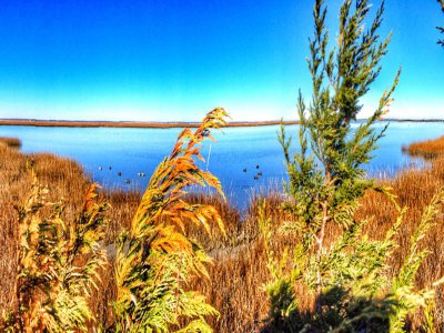 Things To Do Chincoteague Hunting and Fish Center 